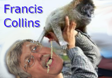 NIH Shenanigans: How 'Cardinals' & 'Popes' Ruined Your Tax Dollars & Sang About It